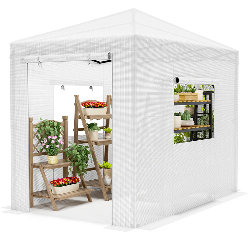 Pop Up Walk-in Greenhouse For Outdoors,protable Greenhouse With Roll-up Door, White, 92.9" D