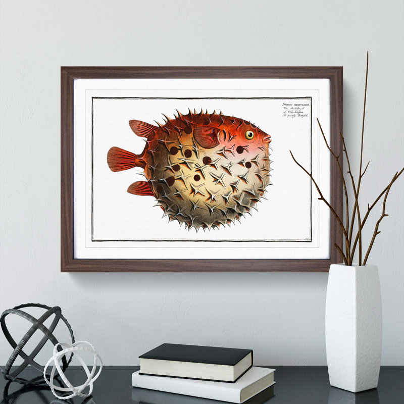 Prickly Blowfish by M.E. Bloch - Picture Frame Painting Print on MDF, 35cm H x 50cm W x 2cm D, Walnut