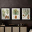 Antique Pine Cones I - Toile tendue avec châssis sur mesure - 3 pièces-267156224-267156226