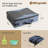Portable Litter Box For Cats For Travel, Flodable Cat Travel Litter Box With Lid And Handle Standard Collapsible Litter Carrier For Cat (L,Black/Blue)