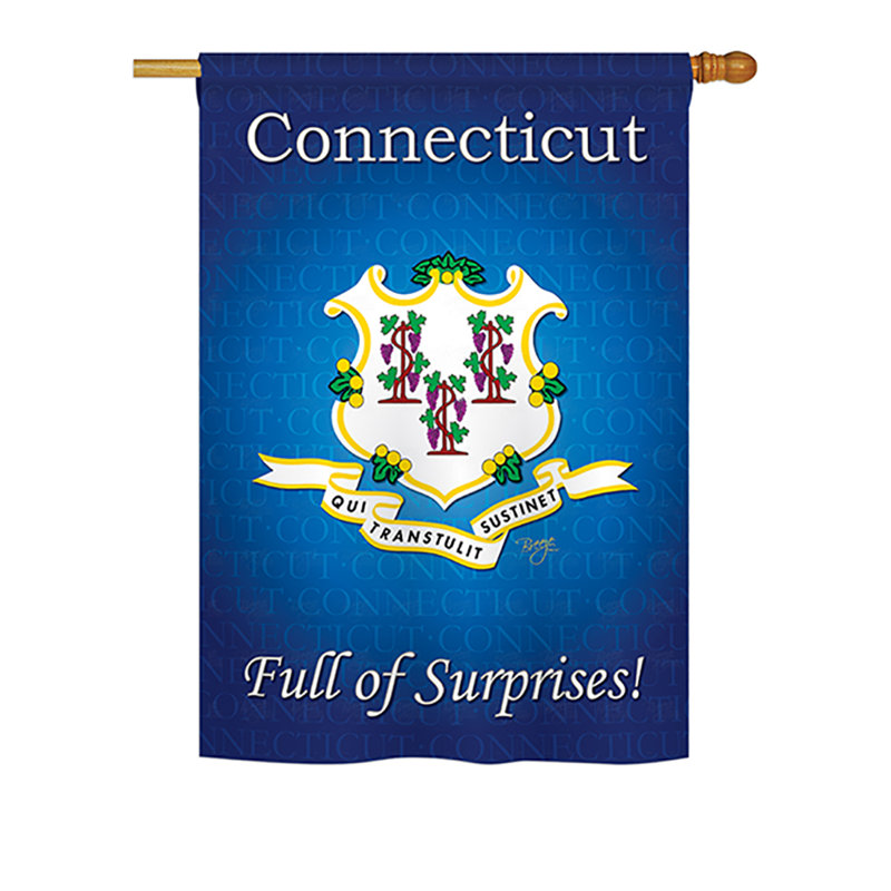 Double Sided Polyester House Flag, 18.5" H x 13" W, Connecticut
