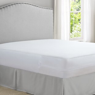 https://assets.wfcdn.com/im/66247540/resize-h310-w310%5Ecompr-r85/1172/117201395/betances-waterproof-bed-bug-resistant-zippered-mattress-protector-mattress-protector-case-pack.jpg