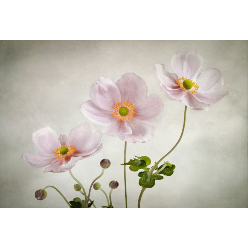 Wrapped Canvas Print, 76.2 cm H x 50.8 cm W