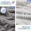 Couverture Kemon-602489514