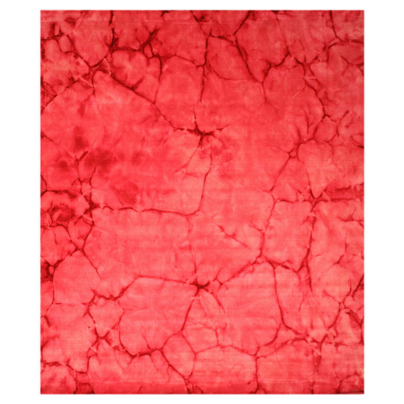 Tapis contemporain en laine noué à la main rose Sarrah Giselle, Rectangulaire 3 pi x 5 pi