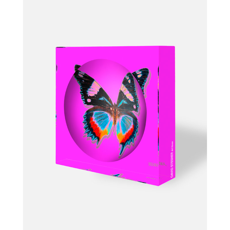 Pink Flutter