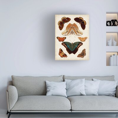 Butterflies Displayed II by Vision Studio - Wrapped Canvas Painting -  Rosalind Wheeler, 99A12EECE3AC4FCBA328AED14FE92AD5