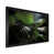Black Picture Framed