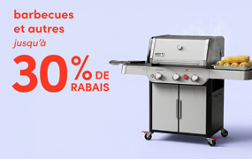 barbecues et autres en solde