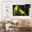 Canari Brampt-107852072