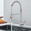 Belfry Kitchen Schunemunk Pull Down Kitchen Faucet