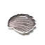 Conchiglia Glass Decorative Tray-293031478