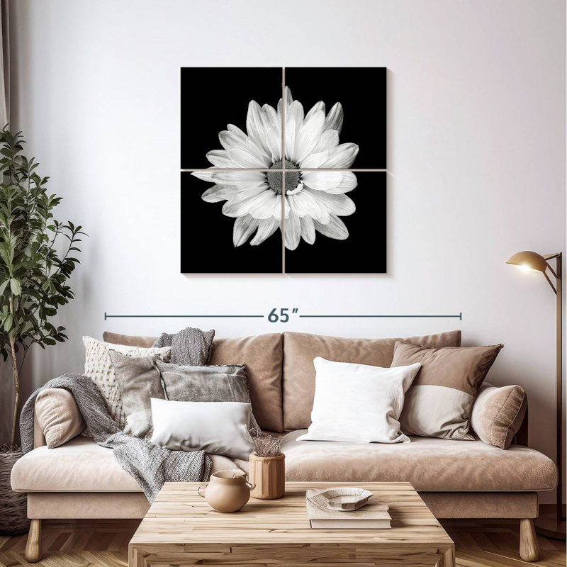 Harnek BW - marguerite blanche