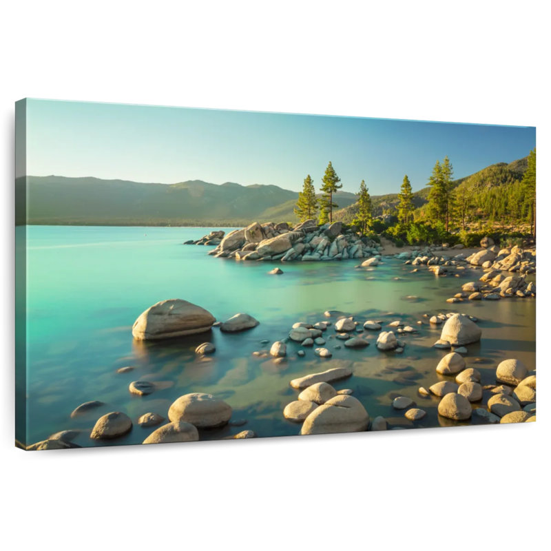 Pins d'Alvord au lac Tahoe, H 16 po x l 24 po