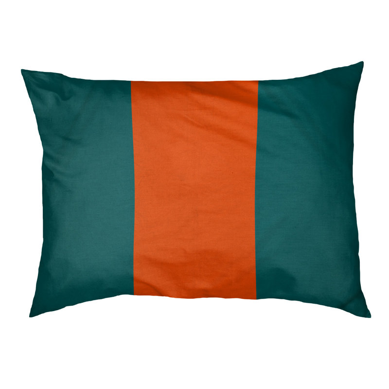 Coussin d'extérieur pour chien Florida Tribe, Grand (l 50 po x P 40 po x H 7 po), Turquoise / orange