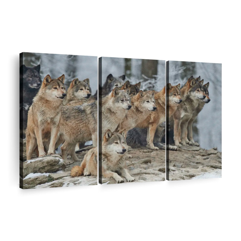«Wild Wolf Pack», 3 pièces sur toile, H 28 po x l 45 po x P 1,25 po