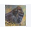 « gorilla », impression sur toile-33109362-72406638-72406633