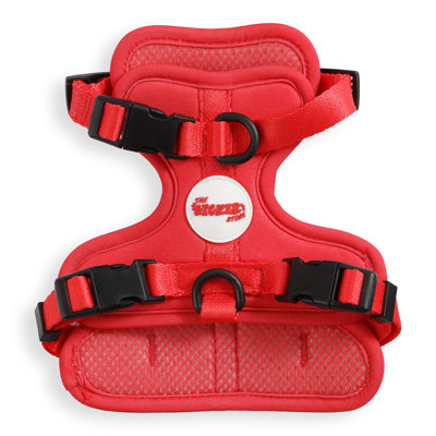 Harnais pour animal de compagnie Arlo