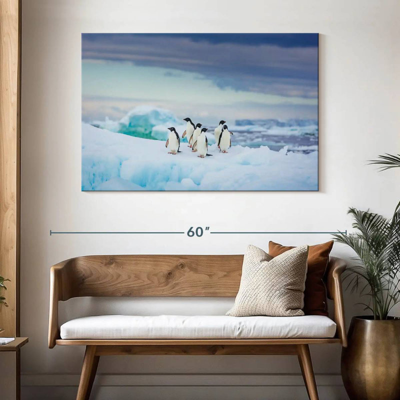 Brampt Adelie Penguins
