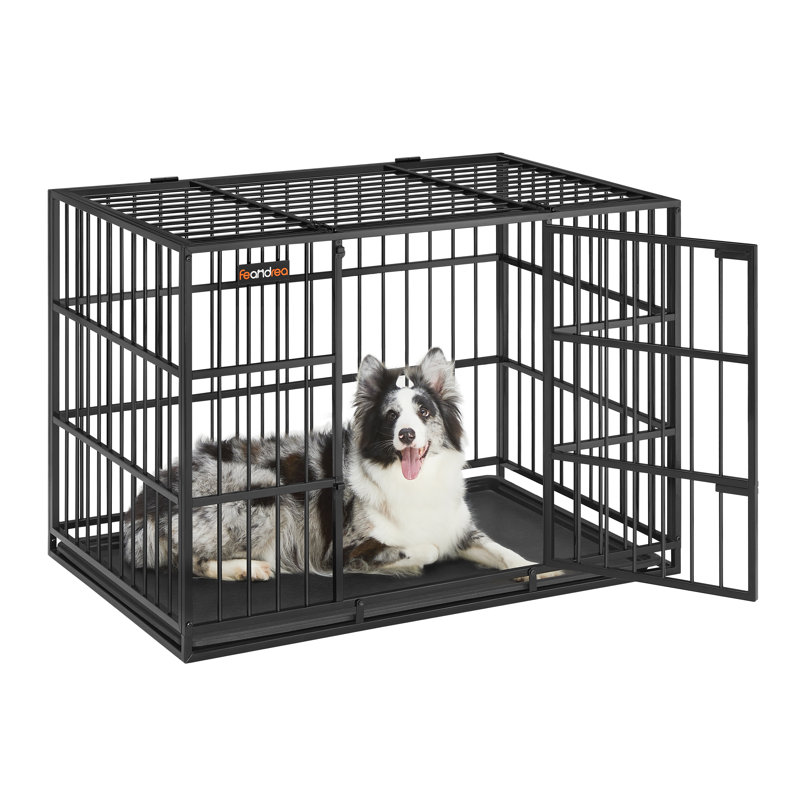 Metal Pet Crate with 1 Door, 75cm H x 70cm W x 107cm D