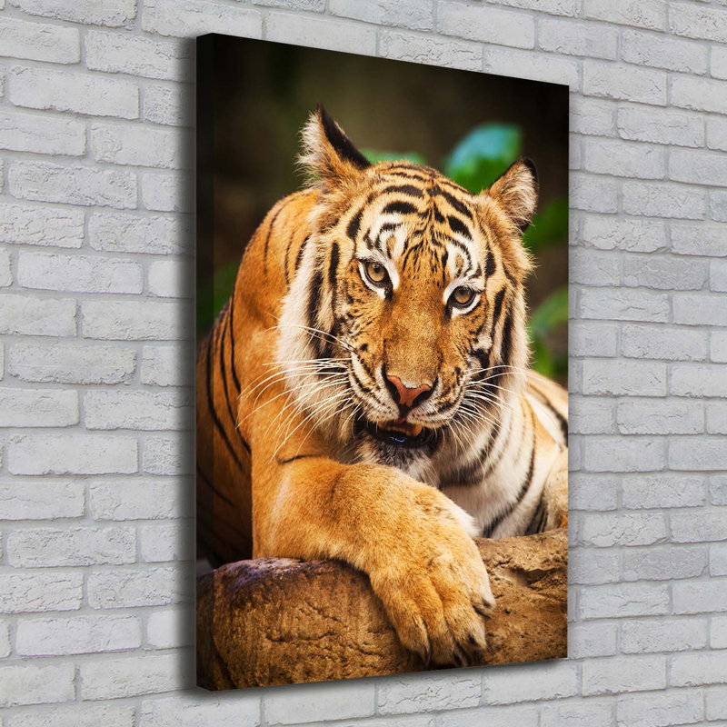 Bengal Tiger - Wrapped Canvas Print