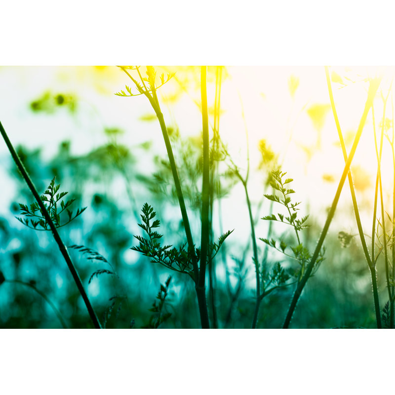 Silhouette of Wildflowers 1 Piece Wrapped Canvas Wall Art, 20cm H x 30cm W x 3.8cm D