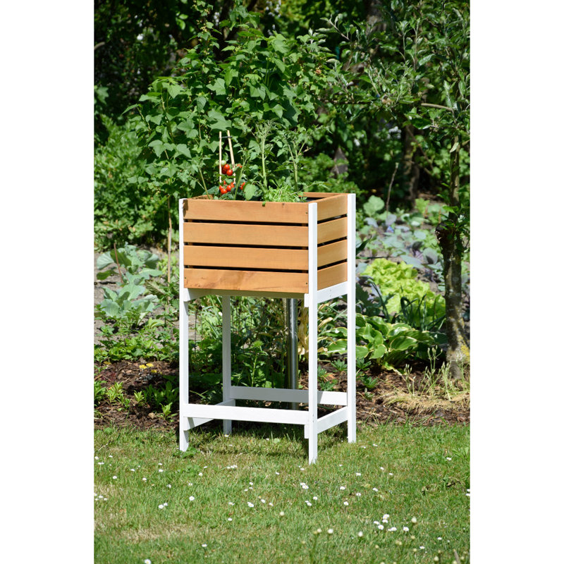 Aakilah Wood Elevated Planter