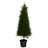 3.5ft. Cypress Artificial Tree with 350 LED Lights UV Resistant (Indoor/Outdoor)