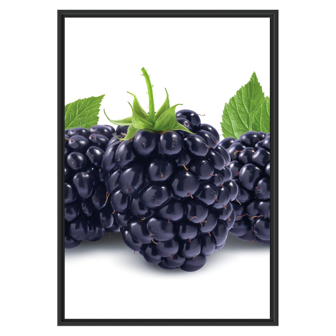 Gerahmtes Wandbild Leckere Brombeeren