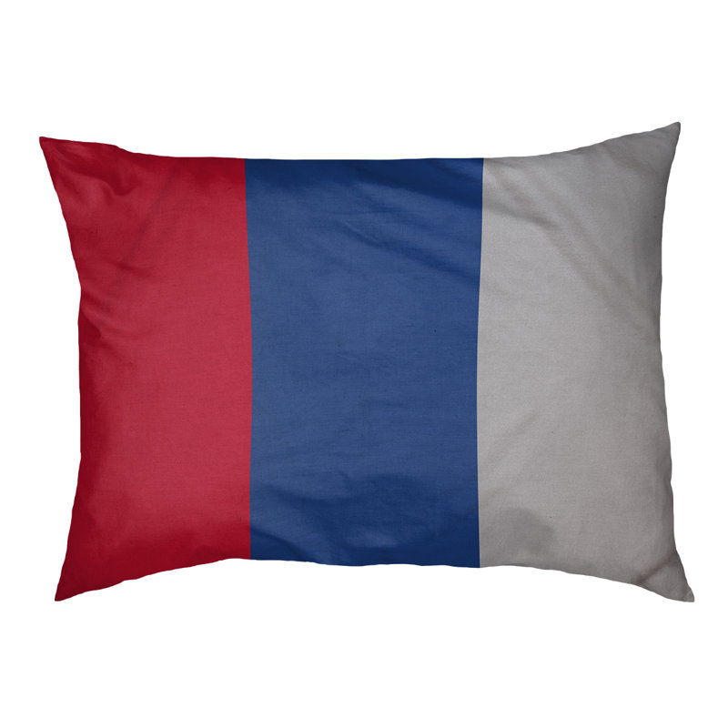 Coussin Designer, Moyen (L 30 po x l 40 po), Rouge / bleu royal / gris