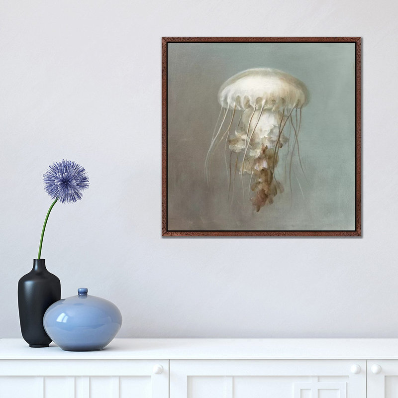 Treasures From The Sea VI by Danhui Nai - Print on Canvas, 45.72 cm H x 45.72 cm W, Classic Brown Wood Framed