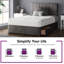 Fairley Divan Bed Base-702989115-702989104-799109052