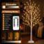 Bouleau artificiel blanc illuminé 6 pi avec 120 lumières DEL blanc chaud, branches flexibles pour décoration de mariage de Noël, utilisation intérieure seulement, paquet de 1-772702990-772702988