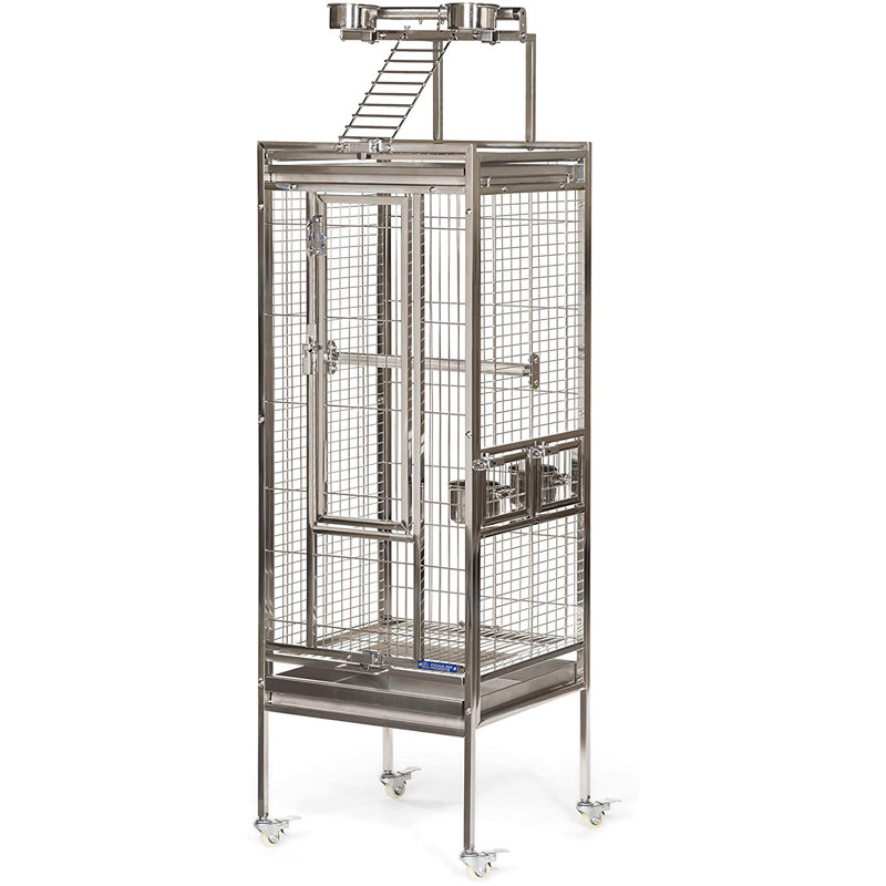 Cage à oiseaux avec roue en acier inoxydable