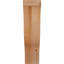 Attelle de genou Funston-1812888570-1812888343-1812888345