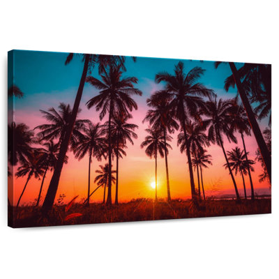 Gillard Silhouette Tropical Sunset