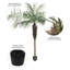 Palmier artificiel en pot Phoenix-864678997