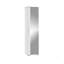 Baneen 8 Pair Shoe Storage Cabinet