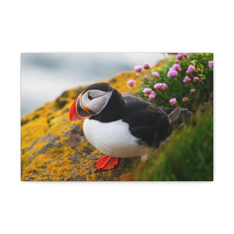 No Frame Print on Canvas, 27.94cm H x 35.56cm W