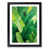 Black Framed selected