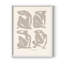 Impression encadrée Matisse CCxxxviii - Bois massif-990127889-990127897