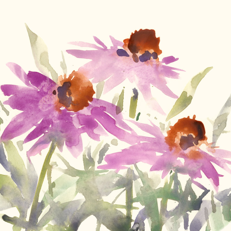 Daisy Garden Views II by Samuel Dixon - Wrapped Canvas Painting, 76cm H x 76cm W