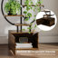 Plant Stand - Set of 2