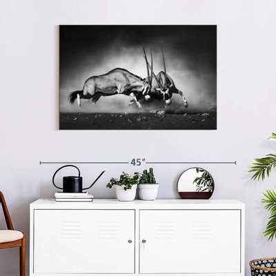 Brampt Fighting Oryx