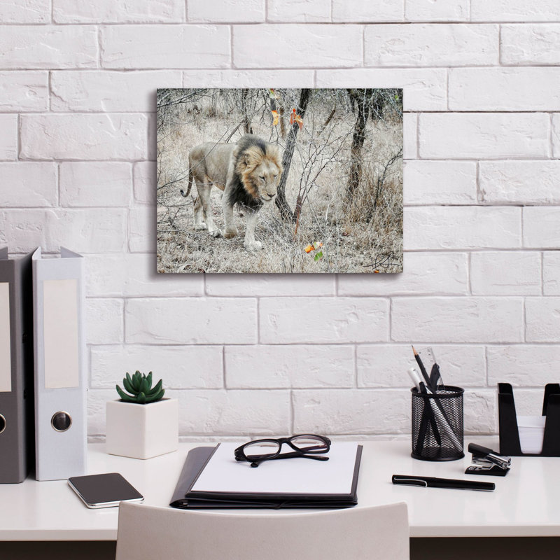 "Latitude Run" Lion "par Helene Sobol, art mural sur toile, H 12 po x l 16 po x P 0,75 po