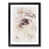 Black Framed selected