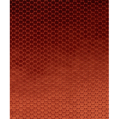 Ditty Fabric