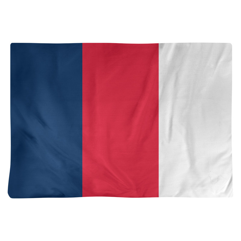 Récapitulatif 18" basket Washington, Bleu marine / rouge / blanc, Polyester