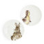 Classic Wrendale Designs  - Coupe Plates (Bunny & Duckling)