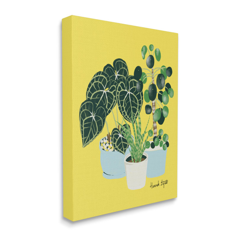 "House Plants On Yellow On Wood" par Hannah, impression, H 30 po x l 24 po x P 1,5 po, Giclée encadrée blanc bord de mer